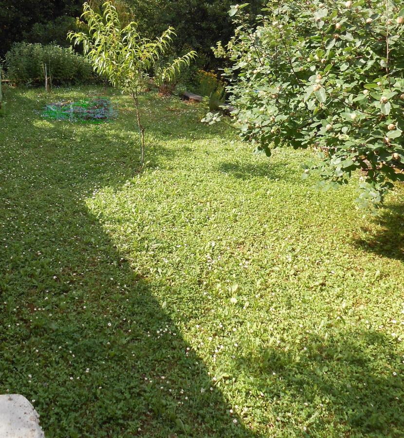 Tranquity Studio Apartment Ika Laurana Esterno foto
